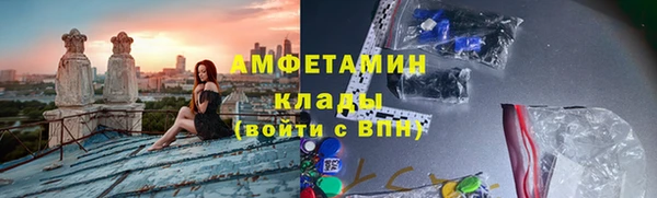 гидра Покачи