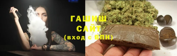 гидра Покачи
