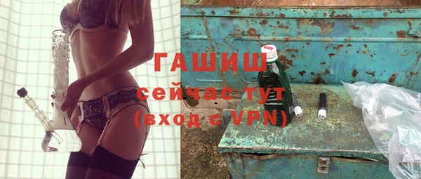 гидра Покачи