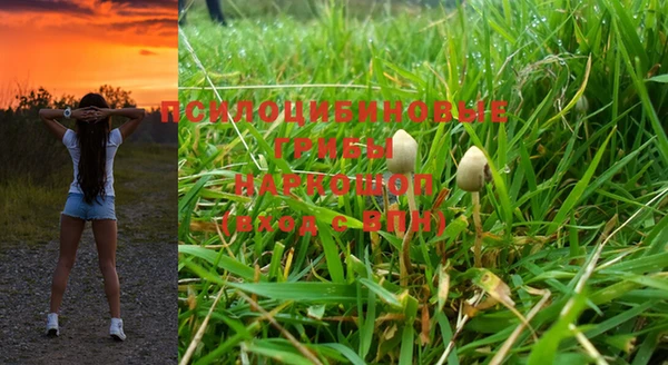 хмурый Армянск