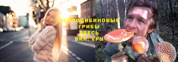 сатива Арсеньев